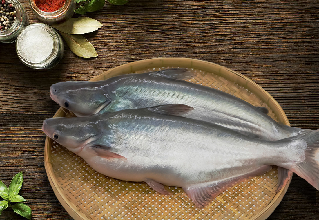 Pangasius Whole Fish - Interfish Company Limited